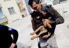 Şiddet Gören Yavru Köpeği Mersin Polisi Sahiplendi