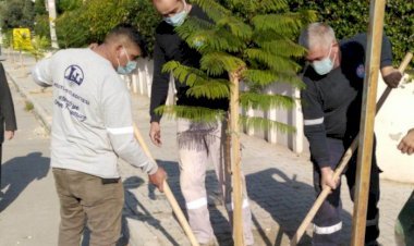 ‘Yeşil Bir Mezitli İçin Her Yere Fidan Dikiyoruz’