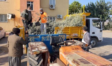 Mersin Büyükşehir’den Kaliteli Ürün İçin Çiftçilere Kaliteli Fidan Desteği