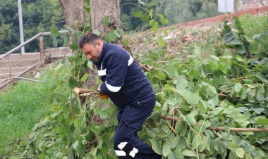 Toroslar'da Ağaçlara Kış Bakımı