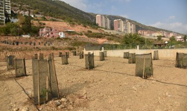 Başkan Kılınç Anamur Tropikal Ürün Üretim Merkezi Olabilir