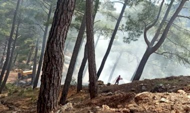 Bozyazı'daki orman yangını büyümeden söndürüldü