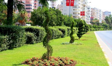 Büyükşehir, Dört Mevsim Yeşil Mersin İçin Çalışıyor