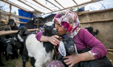 Büyükşehir’in “Haydi Gel Köyümüze Destek  Verelim” Projesi  Yeni  Doğumlarla  Bereketleniyor