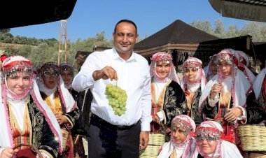 Başkan Yılmaz, Hemşehrileriyle Bağda Üzüm Kesti