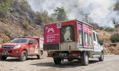 Mersin Büyükşehir, Yangından Etkilenen Hayvanlar İçin Yardıma Koştu