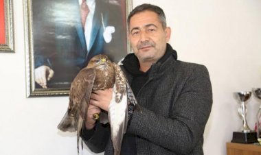 Yaralı Şahin Belediye Personelleri Tarafından Kurtarıldı”