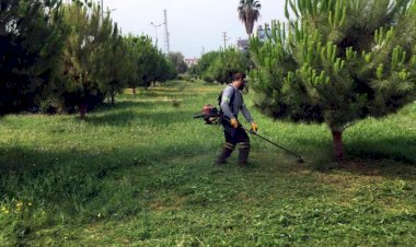 Akdeniz’de Park Ve Yeşil Alanlar Yenileniyor