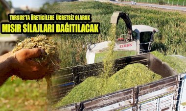 TARSUS BELEDİYESİNDEN ÜCRERSİZ SRAJLIK MISIR