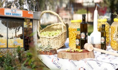 Tarsus Belediyesi Topraktan Halka Zeytinyağı Ulaştırıyor