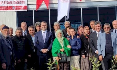 TARSUS ‘TA 6 BİN KEÇİBOYNUZU FİDANI DAĞITILDI