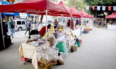 Mersin Büyükşehir, Kadınlara Gelir Kapısı Olmaya Devam Ediyor Mersin Büyükşehir, Kadınlara Gelir Kapısı Olmaya Devam Ediyor