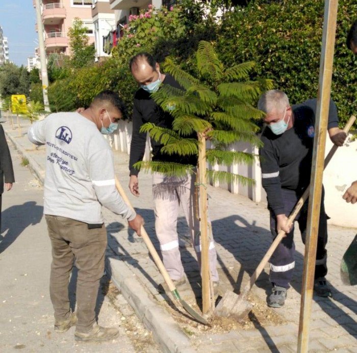 ‘Yeşil Bir Mezitli İçin Her Yere Fidan Dikiyoruz’