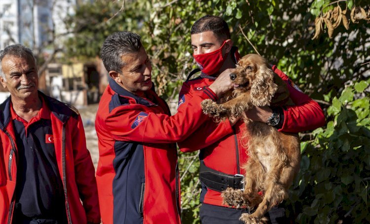 Büyükşehir Ekipleri Kuyuya Düşen Köpeği Yara Almadan Kurtardı