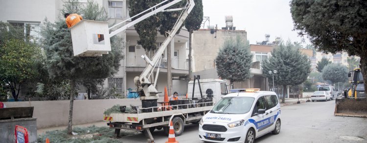 Araçlar Kaldırıldı, Ağaçlar Budandı