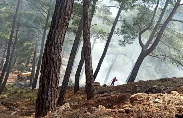 Bozyazı'daki orman yangını büyümeden söndürüldü