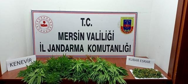 Mersin'de uyuşturucu operasyonu: 7 gözaltı