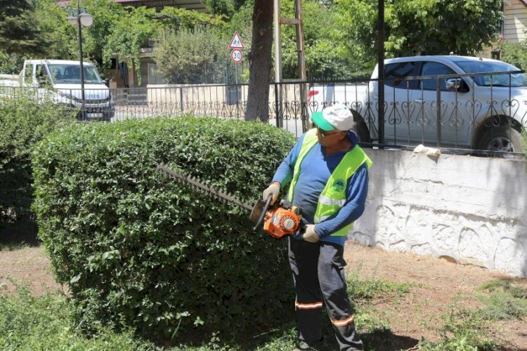 Toroslar  Belediyesi’nden Yeşil  Alanlarda Bakım