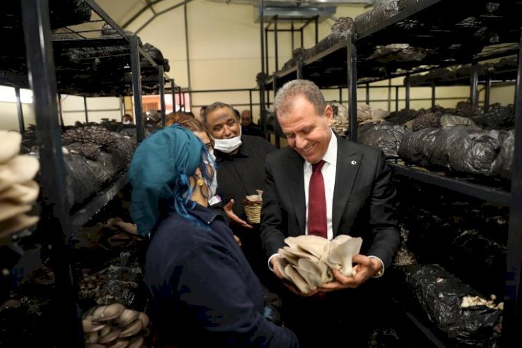 Başkan Seçer, Roman Aileler İçin Kurulan Mantar Tesisinde İlk Hasadı Roman Kadınlarla Yaptı