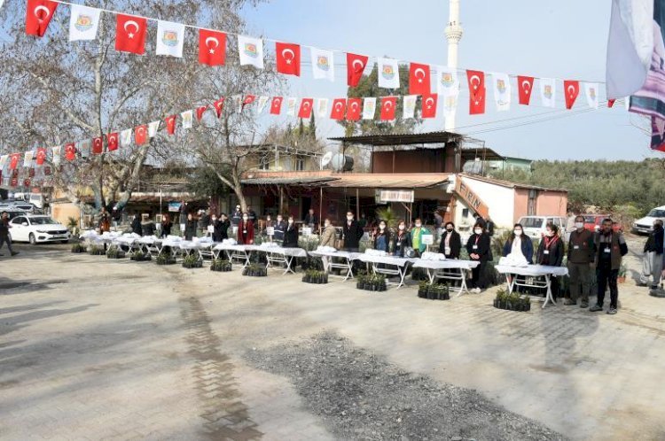 Tarsus Belediyesi Üreticilere 40 Bin Adet Yerli Fide Dağıttı